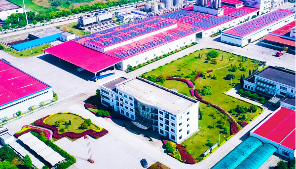 �徲�񾲵���������