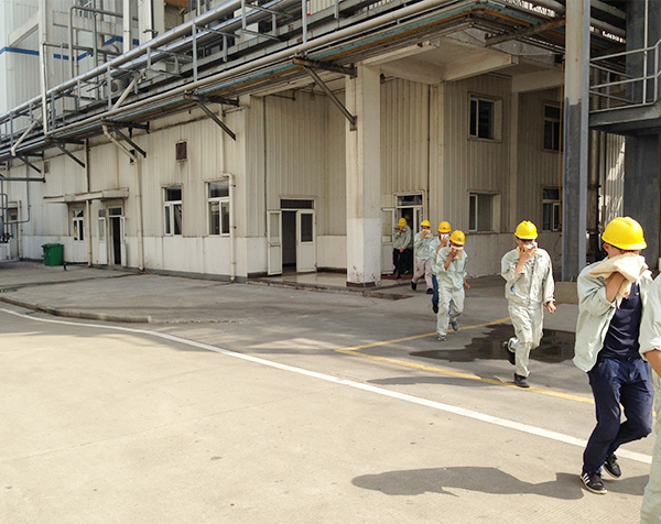 Pa�콢����������