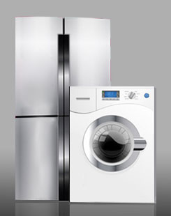 �����;�����֬